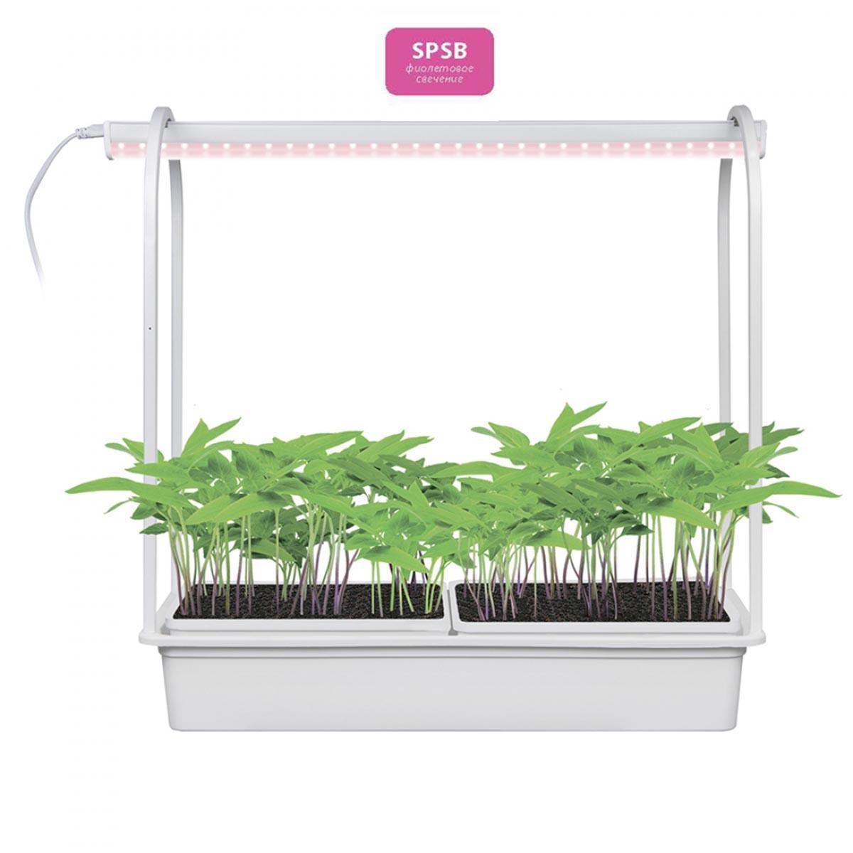 Изображение Светодиодный светильник для растений Uniel Minigarden ULT-P54-10W/SPSB IP20 White UL-00007146