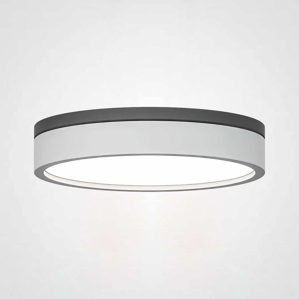 Изображение Потолочный светильник Imperium Loft Kier 101707-26