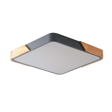 Изображение Потолочный светильник Zortes ALBERRO ZRS.01288.60