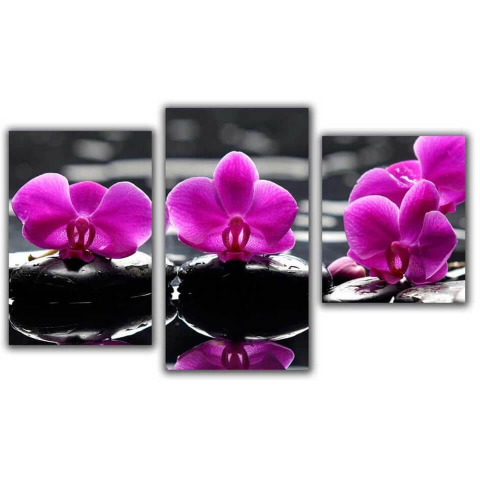 Изображение Мини модульная картина Цветы на камнях Toplight 55х94см TL-MM1038