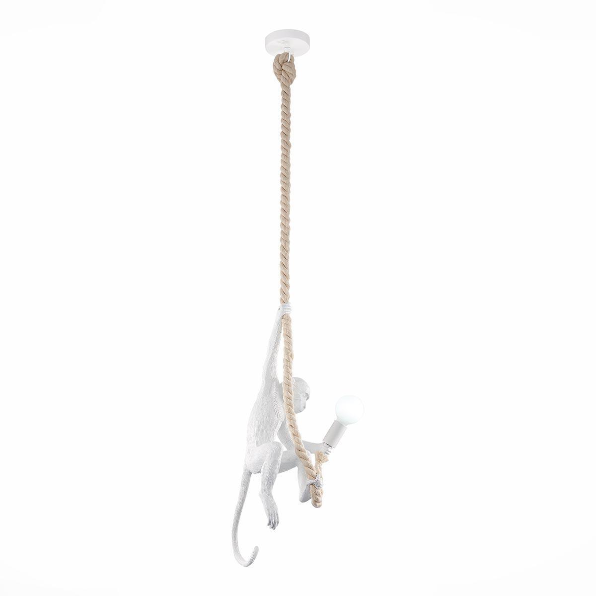 Изображение Подвесной светильник Evoluce Tenato SLE115103-01