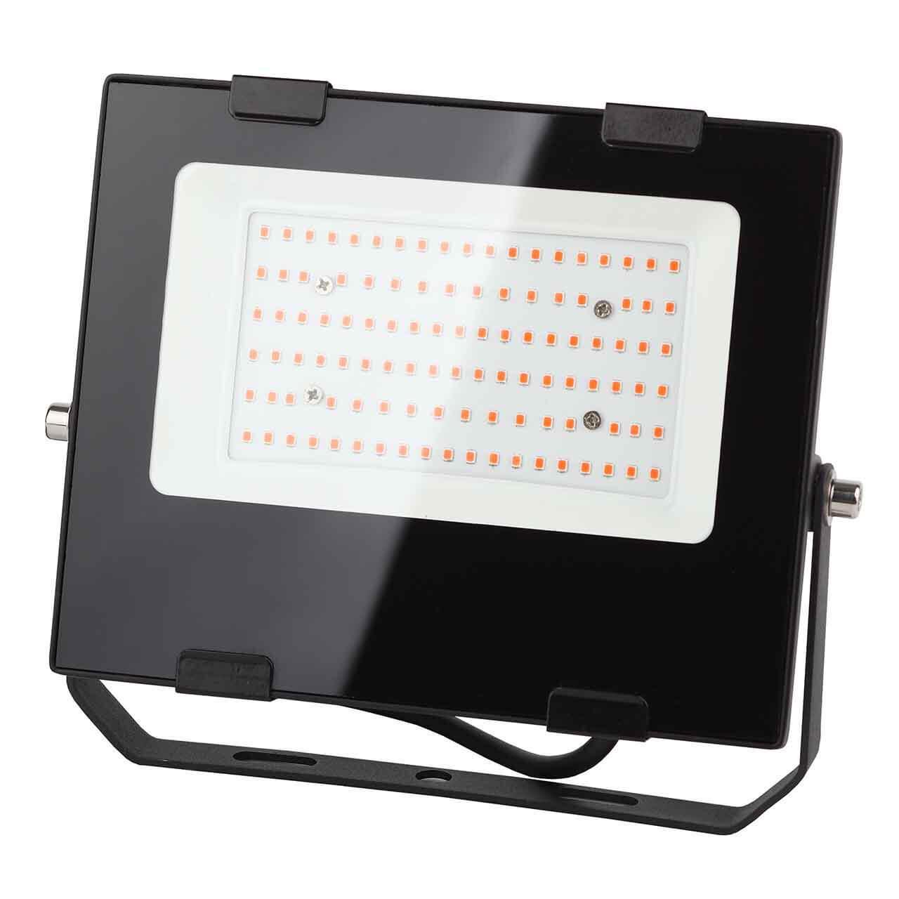 Изображение Прожектор светодиодный ЭРА PRO 50W 1200K Fito-50W-RB-Led Б0046368