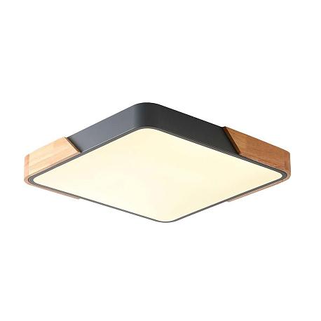 Изображение Потолочный светильник Zortes ALBERRO ZRS.01288.36