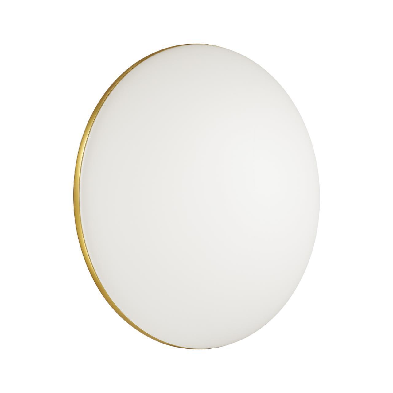 Изображение Настенно-потолочный светодиодный светильник Sonex Tan Lassa 3043/DL