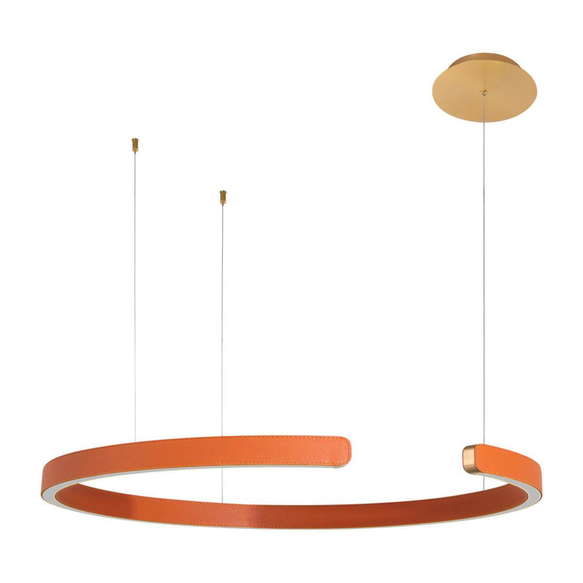 Изображение Подвесной светодиодный светильник Loft IT Ring 10025/600 Orange