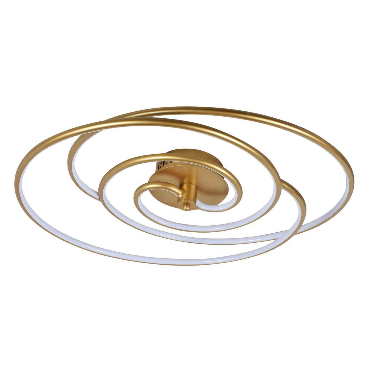 Изображение Потолочный светодиодный светильник F-Promo Sansara 2544-2U