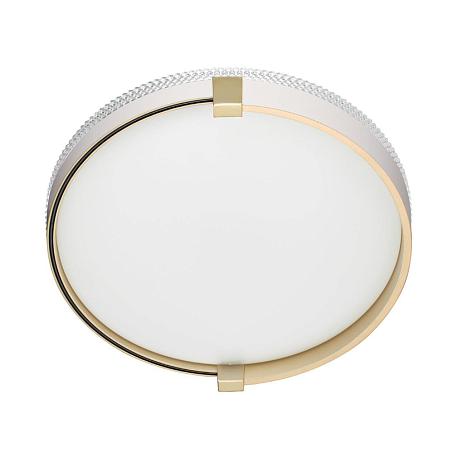 Изображение Настенно-потолочный светодиодный светильник Sonex Pale Olidi White 7646/CL