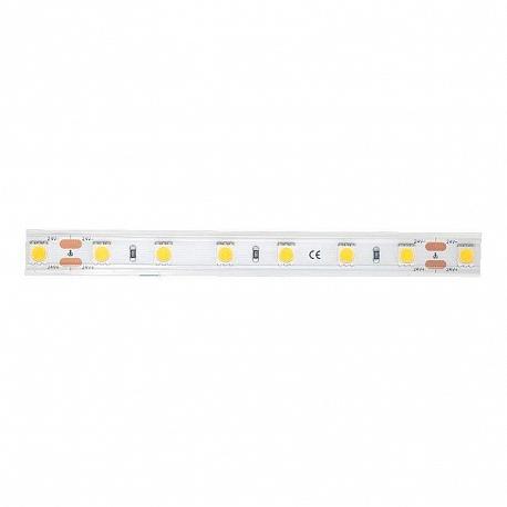 Изображение Светодиодная влагозащищенная лента DesignLed 14,4W/m 60LED/m 5050SMD нейтральный белый 5M 002378