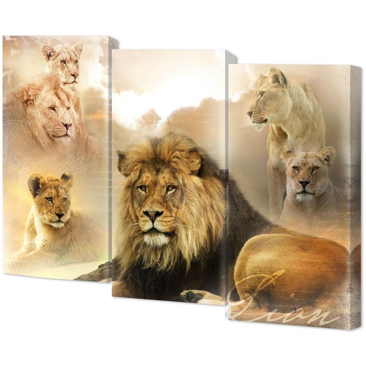 Изображение Модульная картина Toplight 100х150х3см TL-M3079