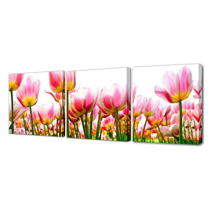 Изображение Модульная картина Море тюльпанов Toplight 150х50см TL-M2006