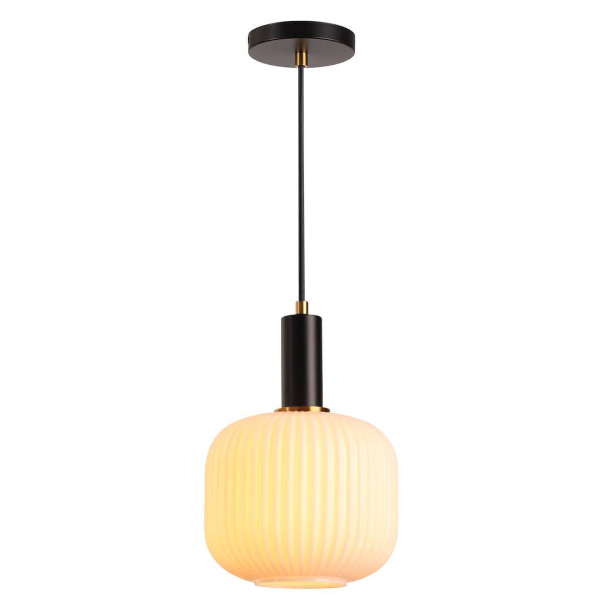 Изображение Подвесной светильник Lumion Suspentioni Merlin 4452/1