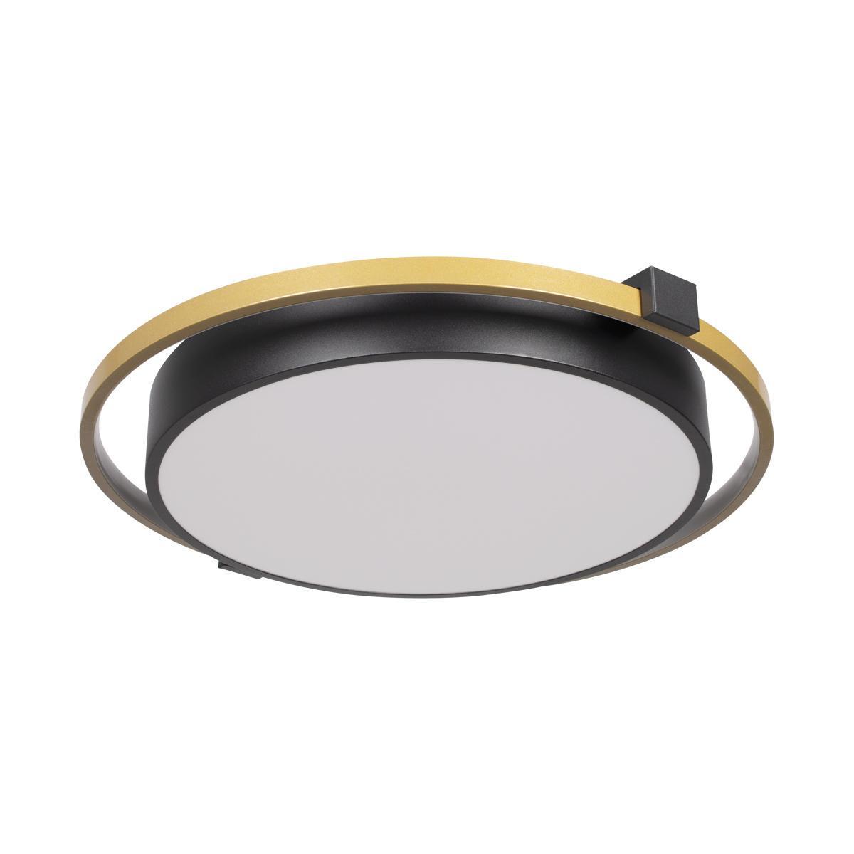 Изображение Потолочный светодиодный светильник Loft IT Mike 10170