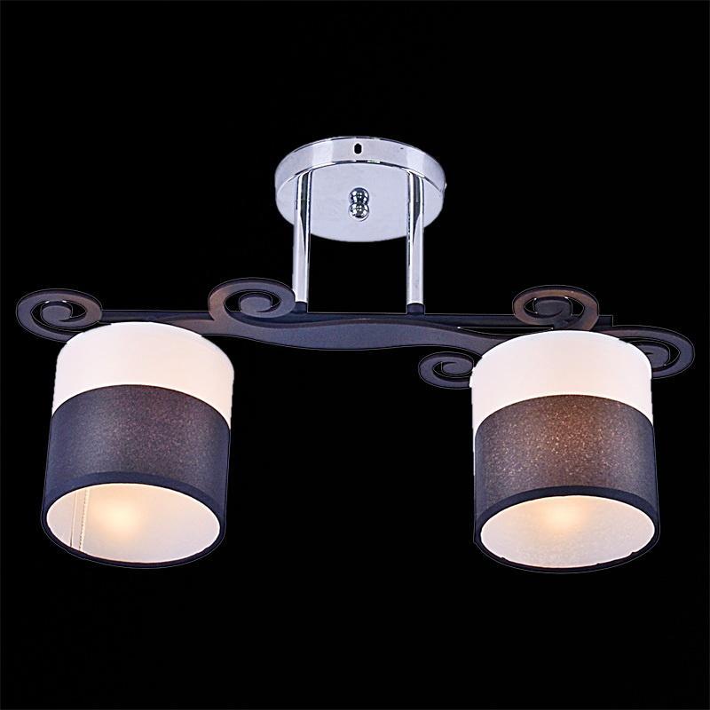 Изображение Потолочный светильник Reluce 05019-0.3-02B BK+CR