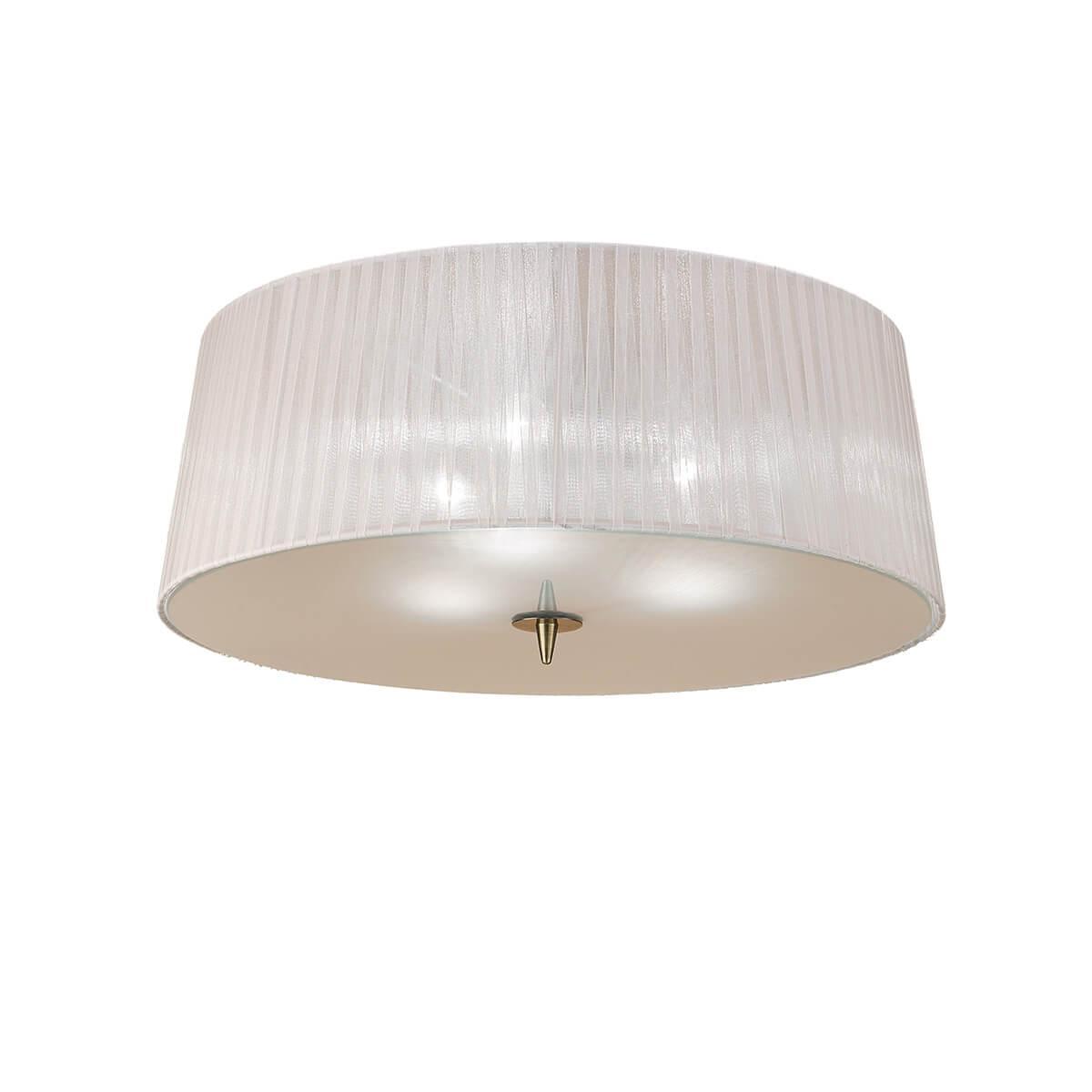 Изображение Потолочный светильник Mantra Loewe 4740