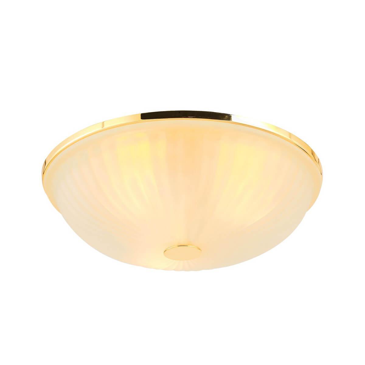 Изображение Потолочный светильник F-Promo Costa 2752-3C