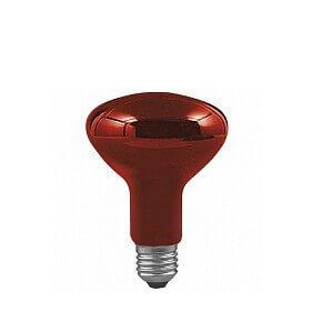 Изображение Лампа накаливания Paulmann Е27 100W инфракрасная 82966