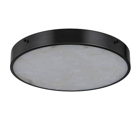 Изображение Потолочный светильник Belfast Devon 3395-4 BL MB