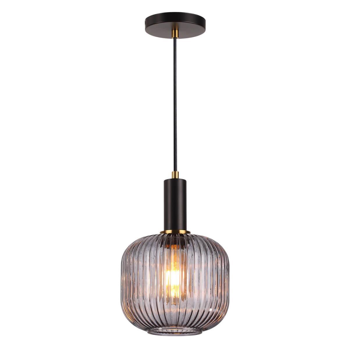 Изображение Подвесной светильник Lumion Suspentioni Merlin 4451/1