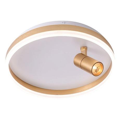 Изображение Потолочный светодиодный светильник Zortes Raizy ZRS.1888.04