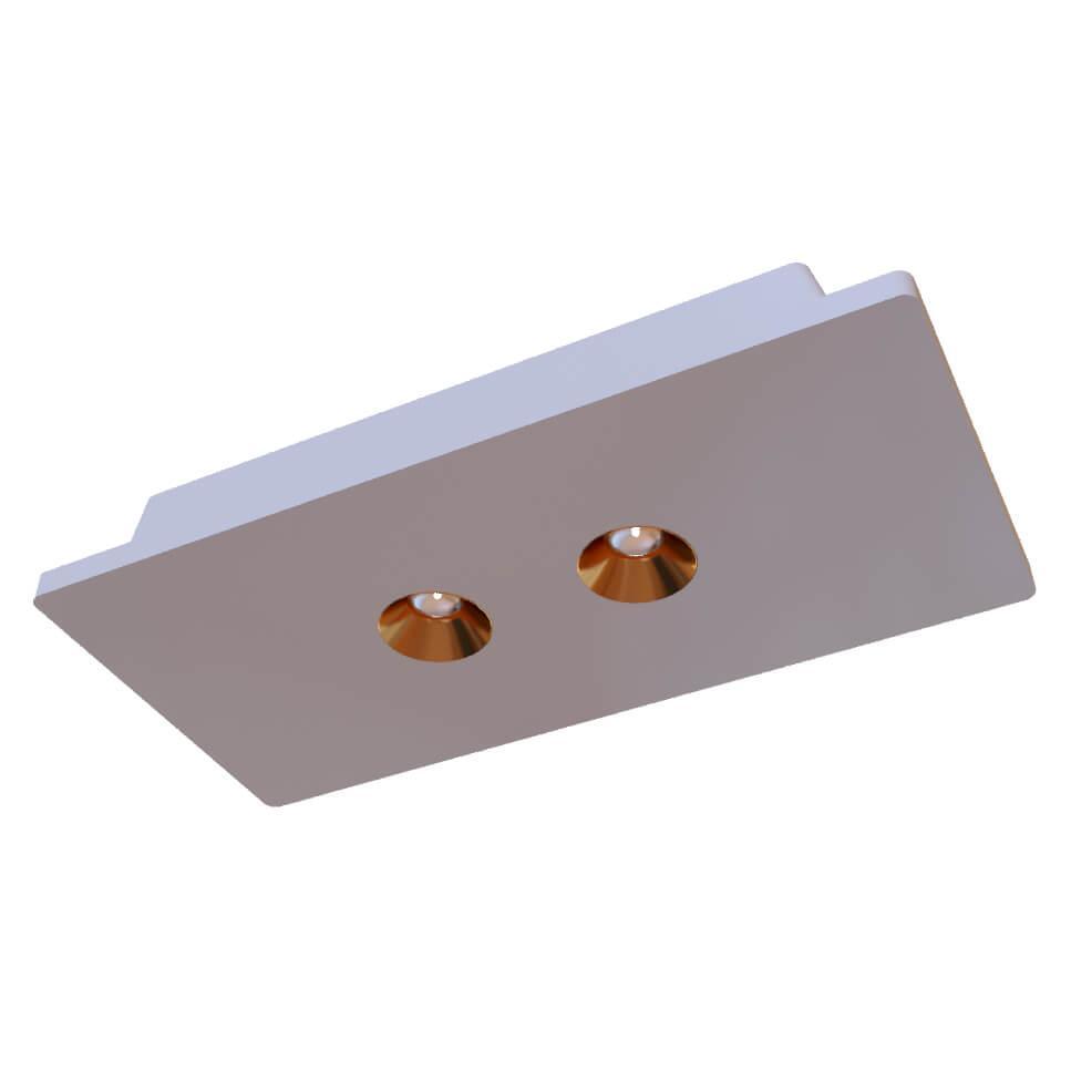 Изображение Потолочный светодиодный светильник Loft IT Architect OL1072-WG/2