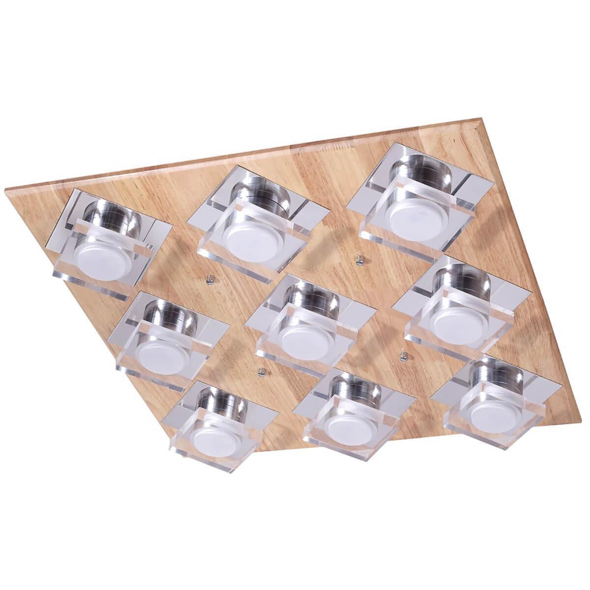 Изображение Потолочный светильник Lucia Tucci Natura 073.9 LED