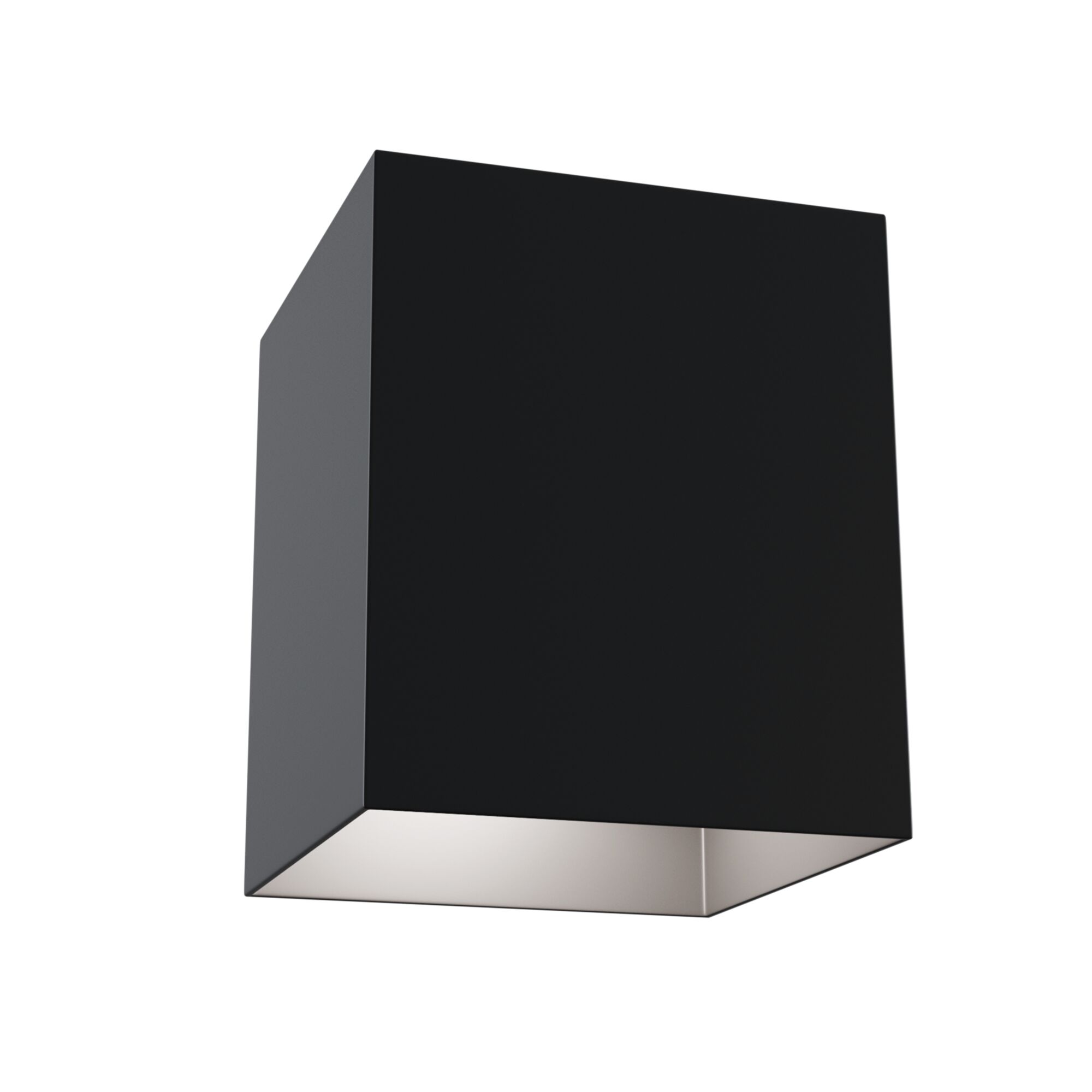 Изображение Потолочный светильник Technical C015CL-01B