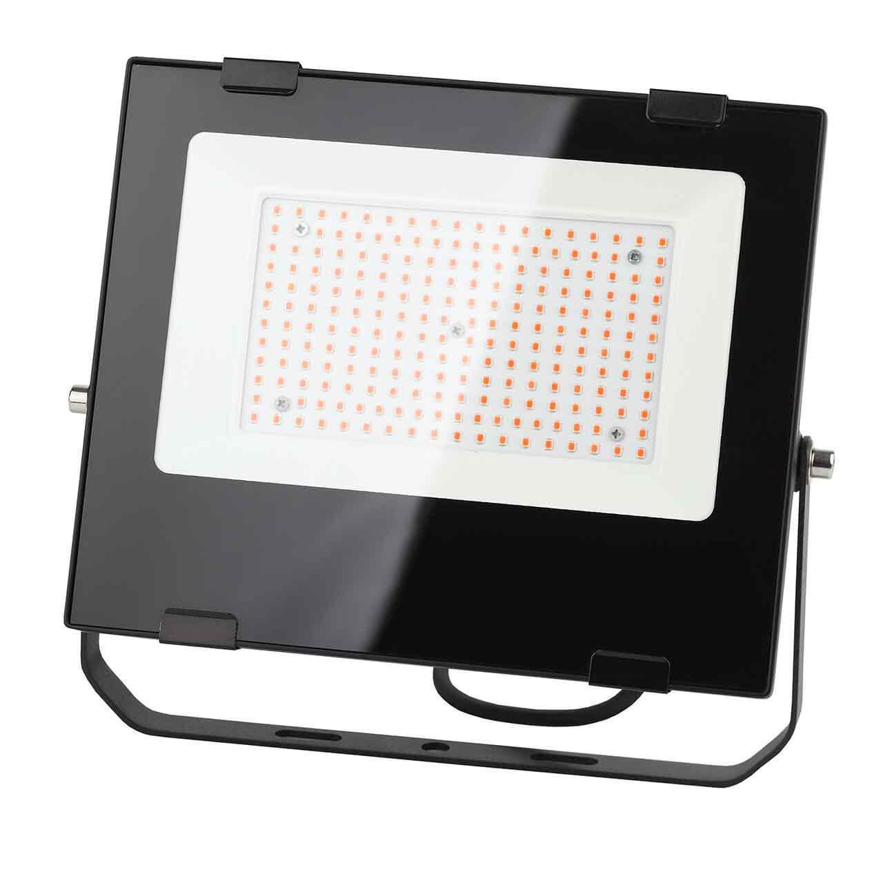 Изображение Прожектор светодиодный ЭРА PRO 100W 1200K Fito-100W-RB-Led Б0046369