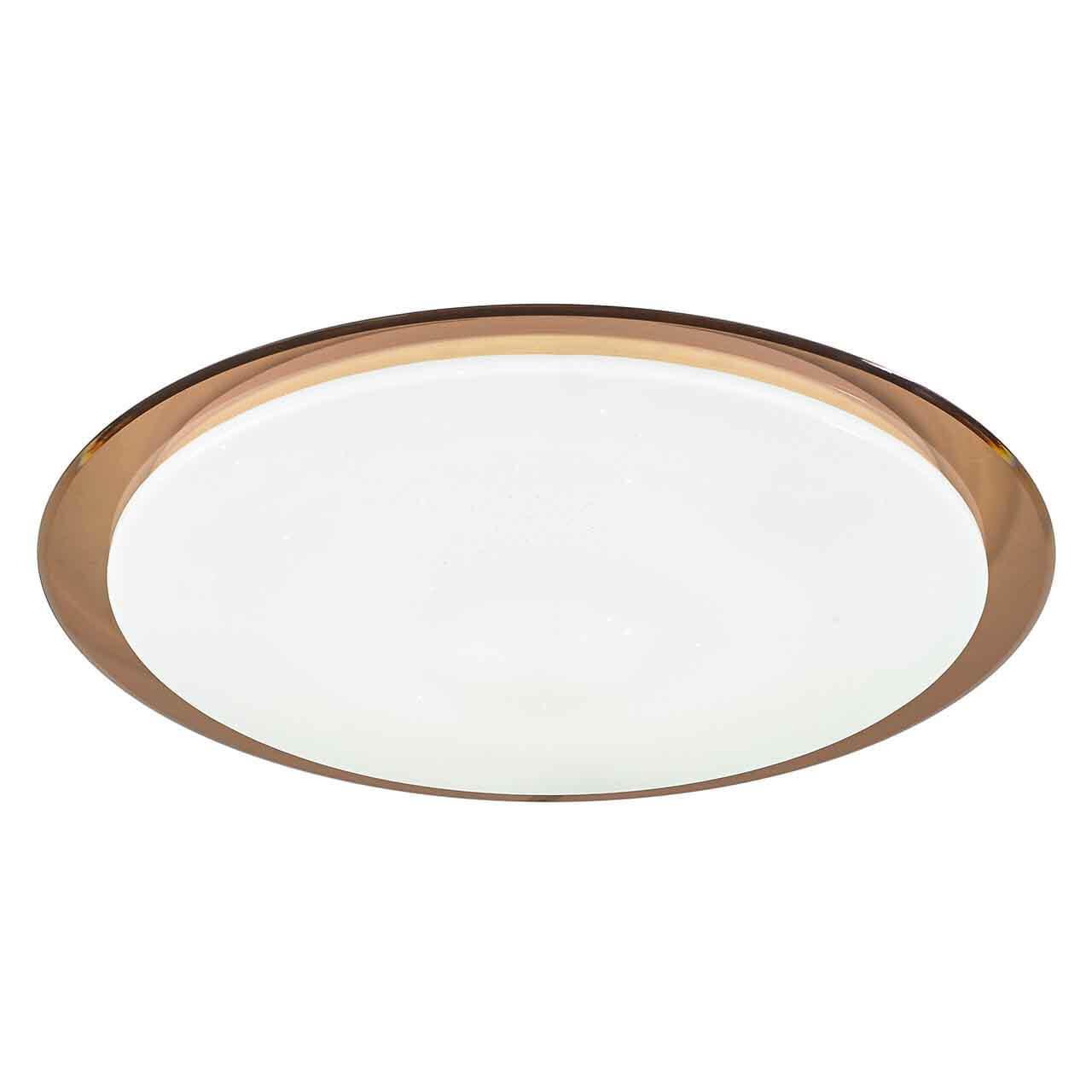 Изображение Потолочный светодиодный светильник ЭРА SPB-6-60-RC Saturn Б0030132