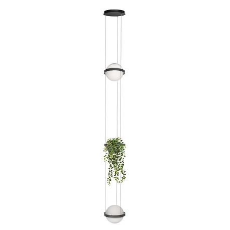 Изображение Подвесной светодиодный светильник Loft IT Jardin 10121/2P Dark grey