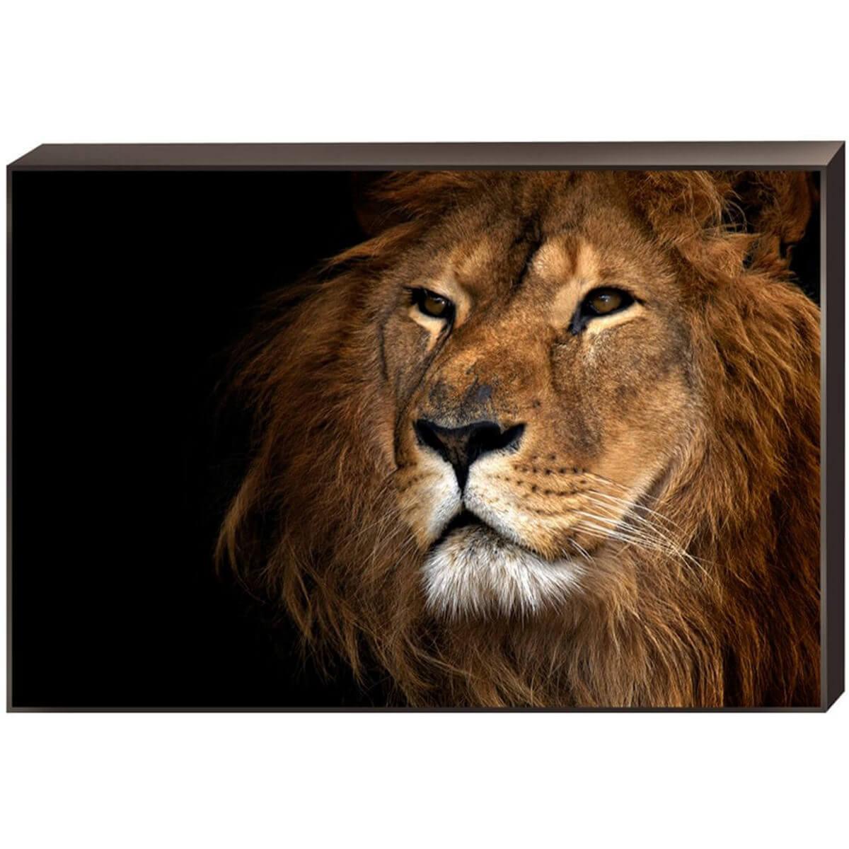 Изображение Постер на подрамнике Toplight 60x90х4см TL-D4042