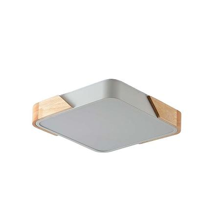 Изображение Потолочный светильник Zortes ALBERRO ZRS.01285.48