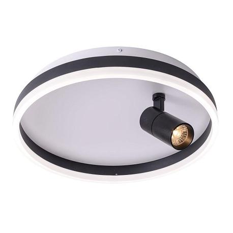 Изображение Потолочный светодиодный светильник Zortes Raizy ZRS.1888.03