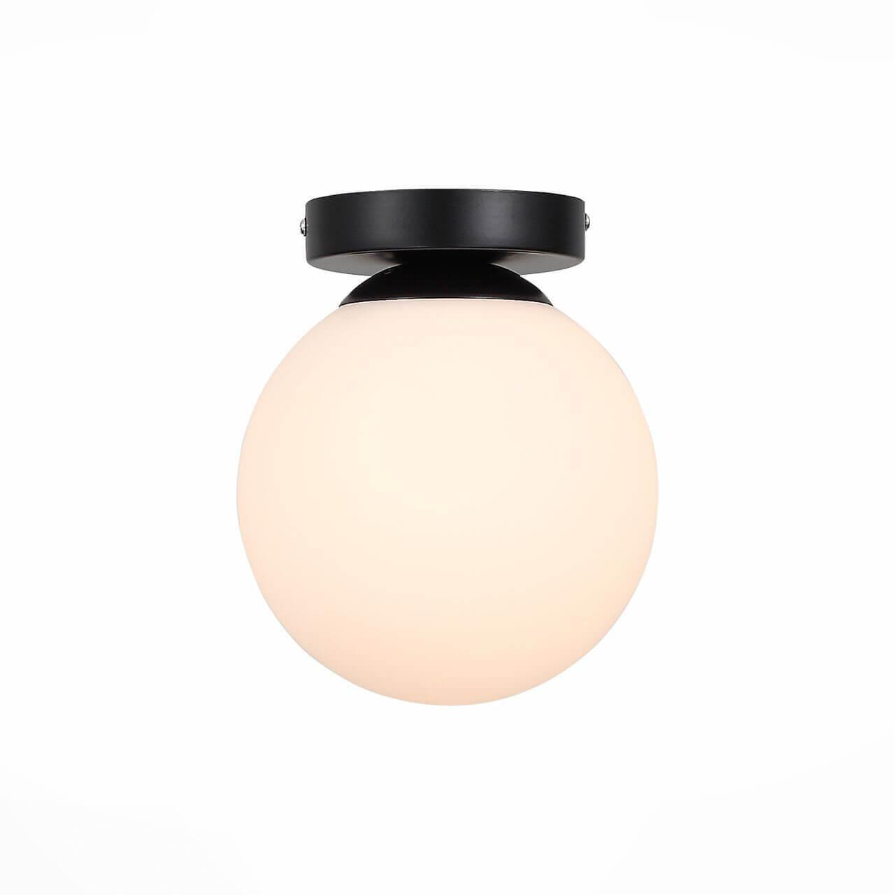 Изображение Настенно-потолочный светильник Evoluce Acini SL717.401.01