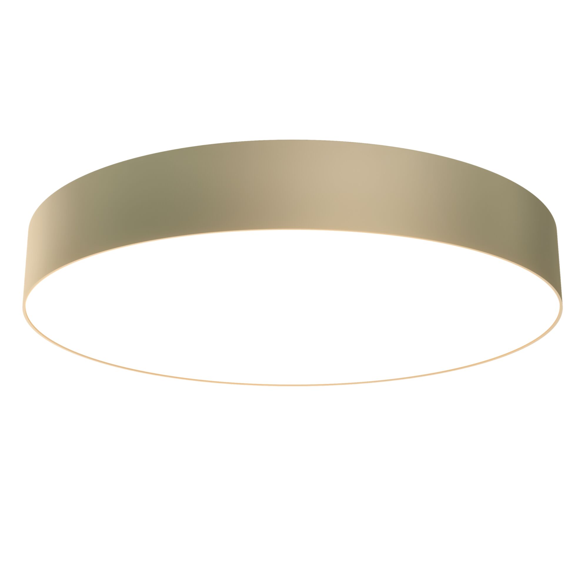 Изображение Потолочный светильник Technical C032CL-L48MG4K